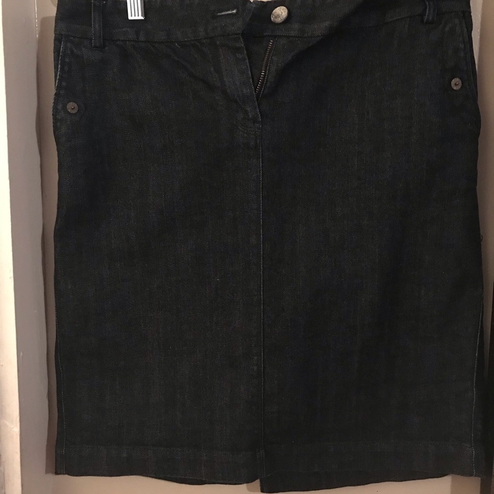Blue Jean J. Crew Skirt